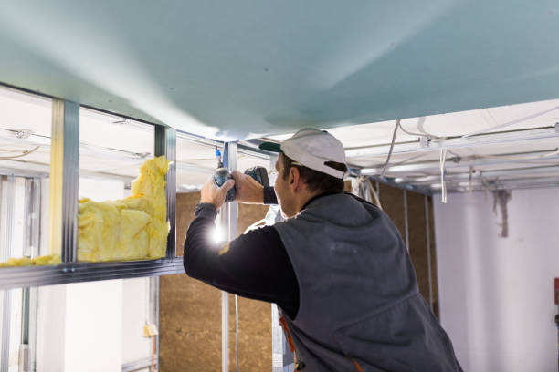 Best Spray Foam Insulation in Ralls, TX