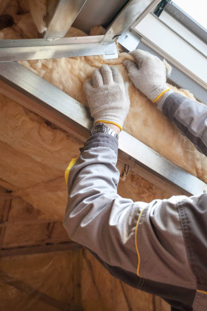 Best Geographic-Specific Insulation Services in Ralls, TX
